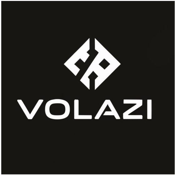 Volazi Econsulting Private Limited logo