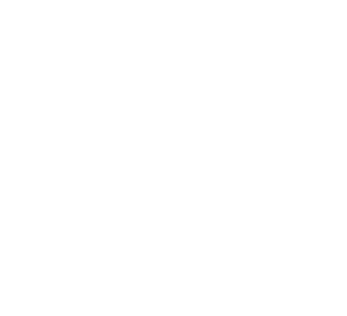 Cloud Orca Limited logo