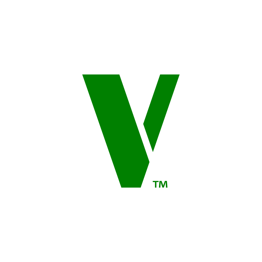 Velza LLC logo