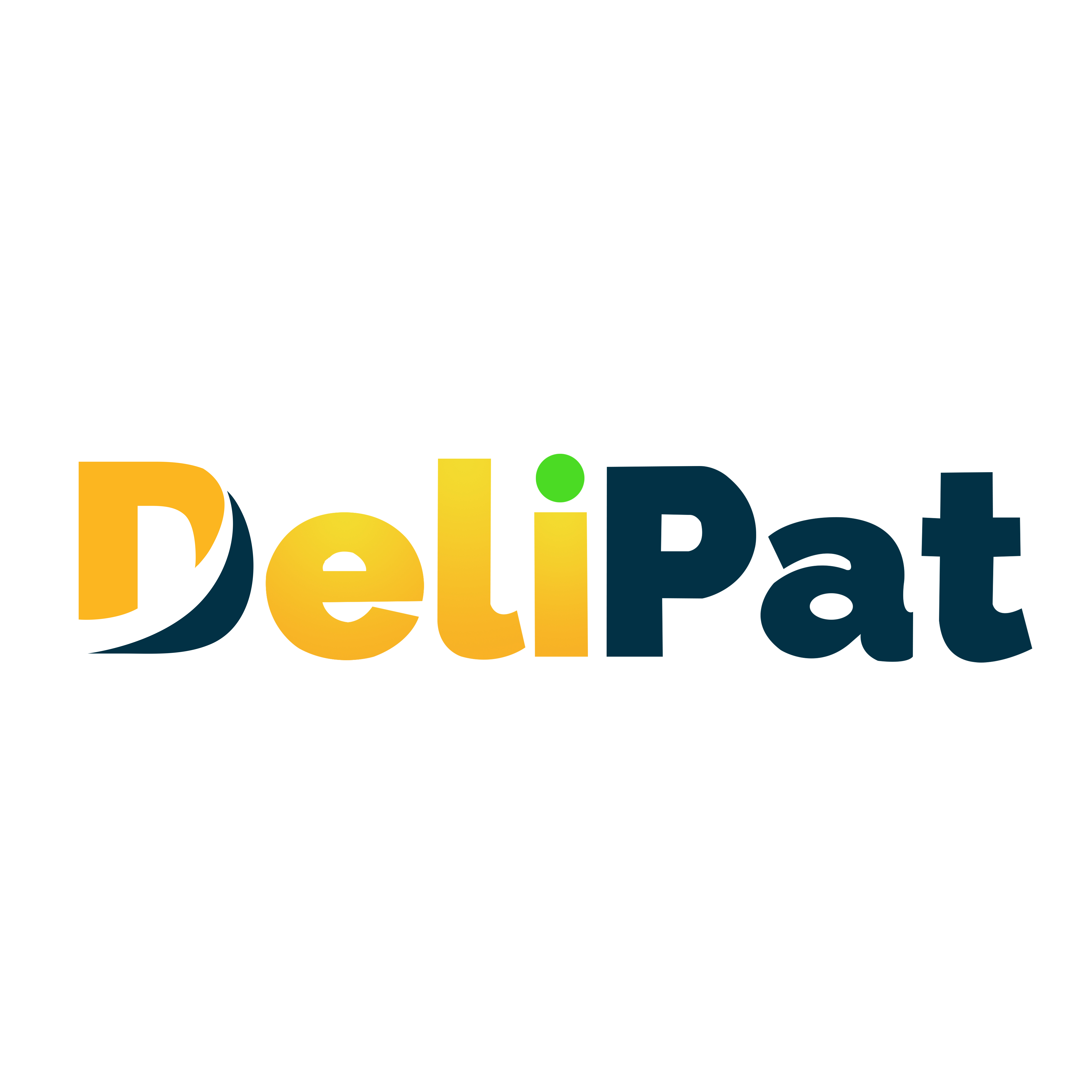 Delipat IT Private Limited logo