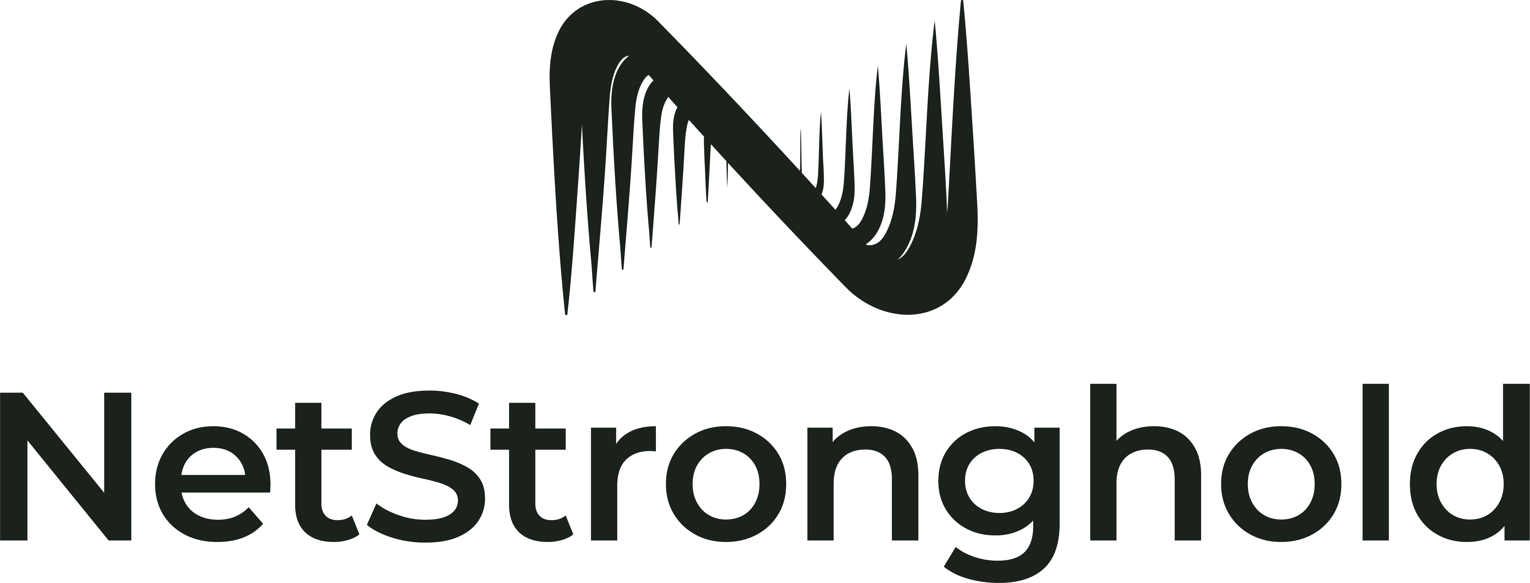 NetStronghold (UK) Limited logo