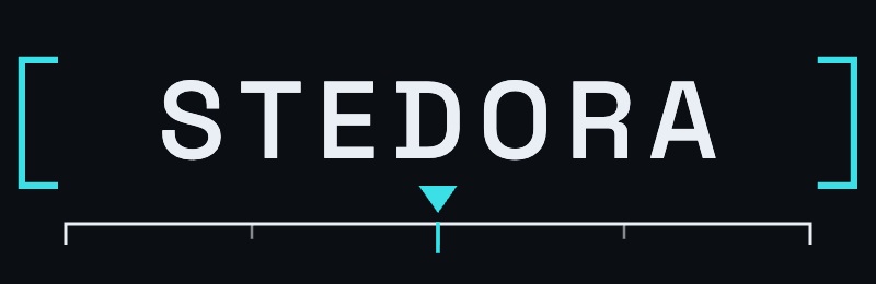 Stedora (Pty) Ltd logo