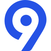Levi9 IT Services logo