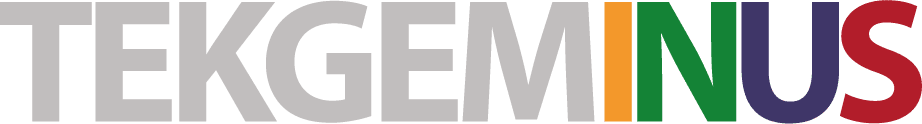Tekgeminus Solutions Private Limited logo