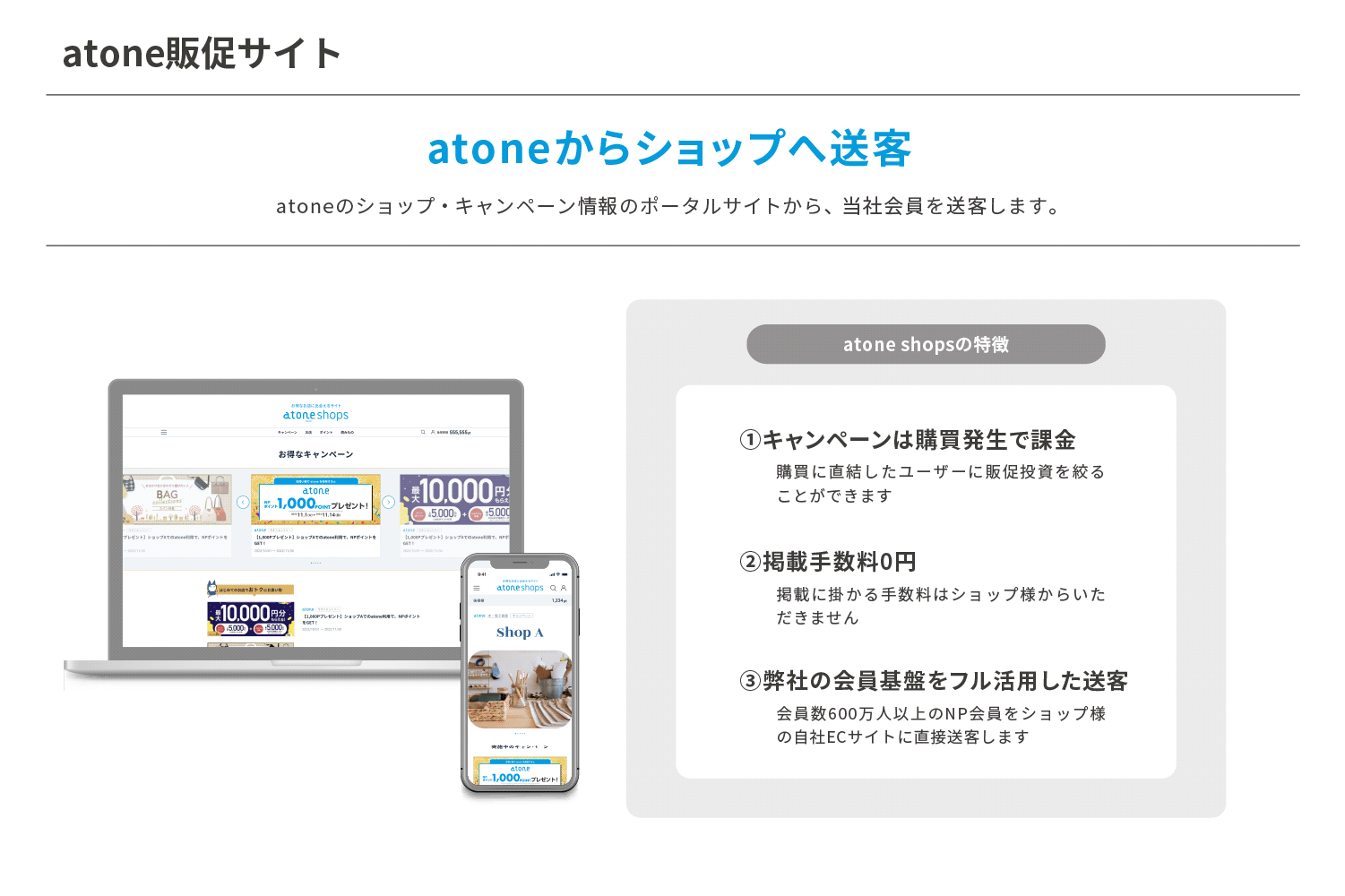 ALLY★フォロー割引ページ サイバーセキュリティクラウド（4493）の財務情報ならログミー