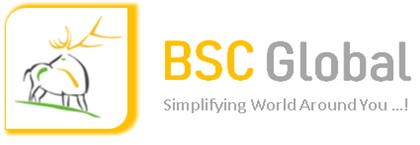 BSC Global Pune logo