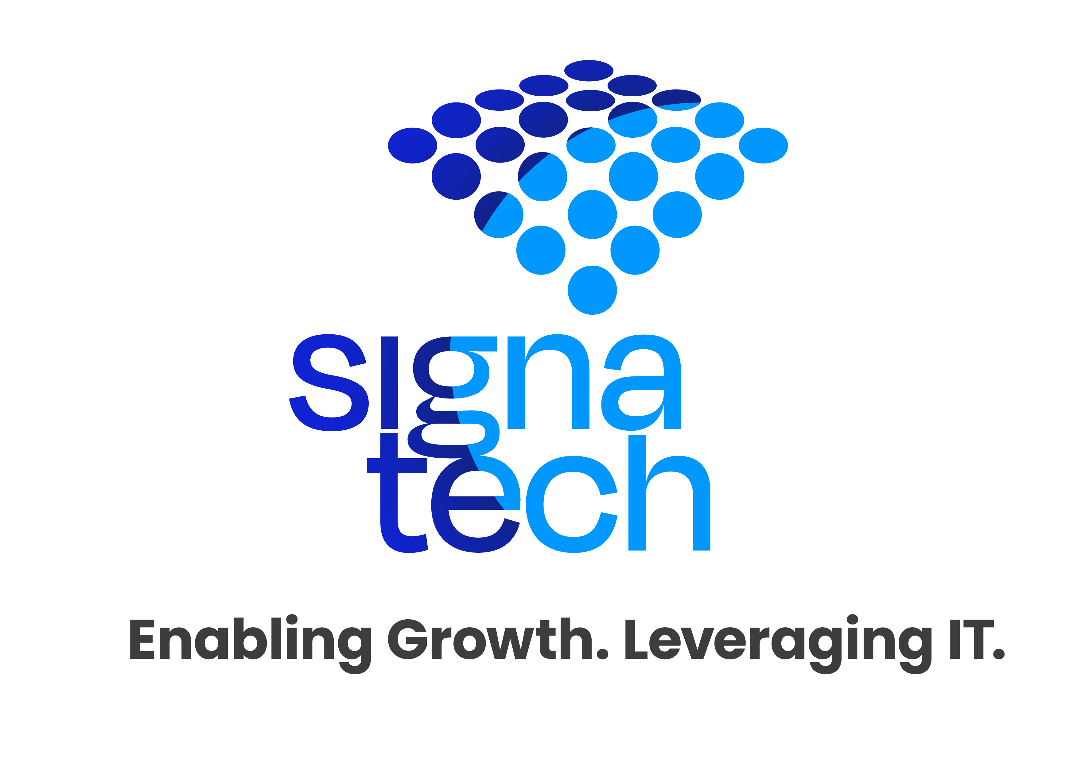 Signa Tech solutions LLC logo
