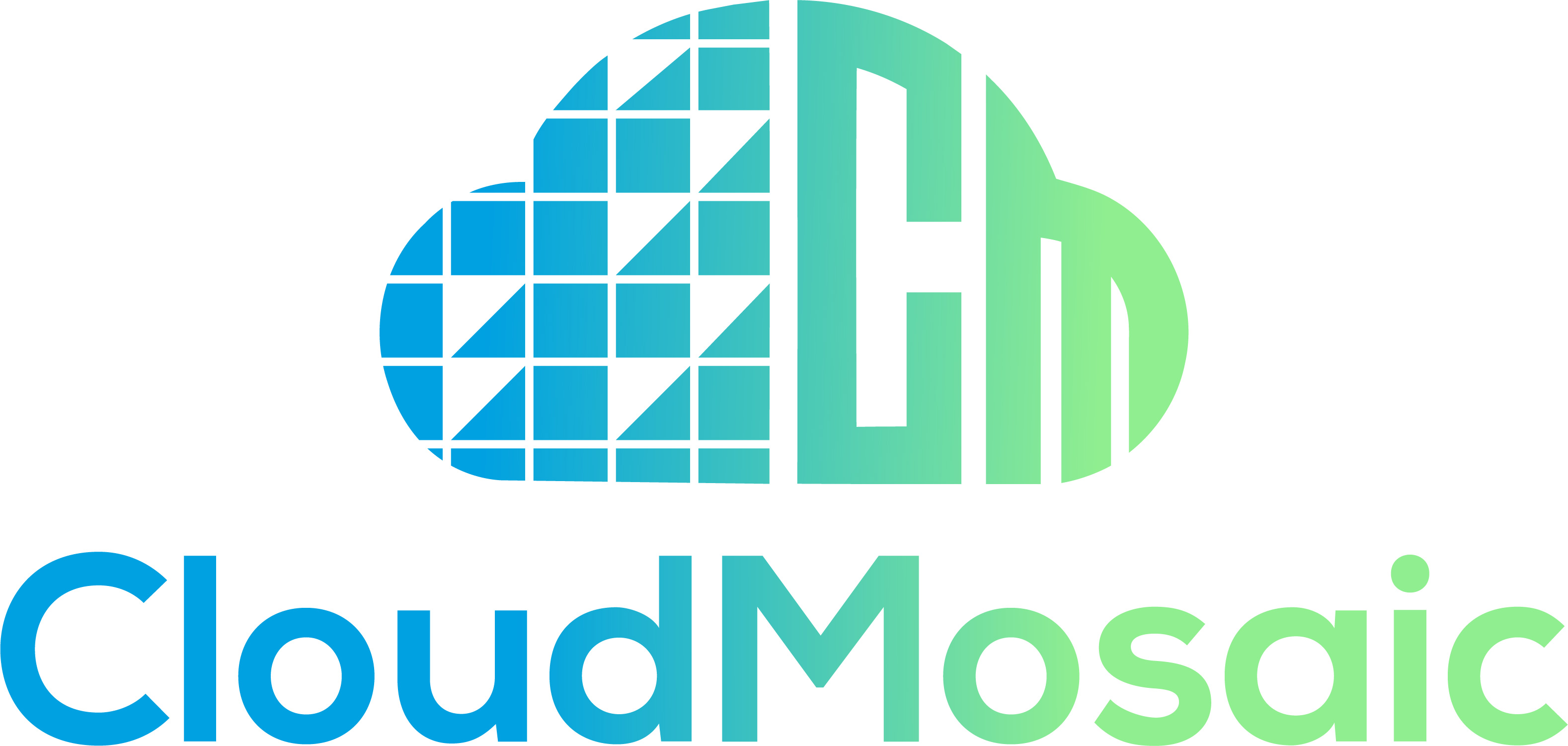 CloudMosaic LLC logo