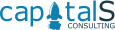 Capital S Consulting logo
