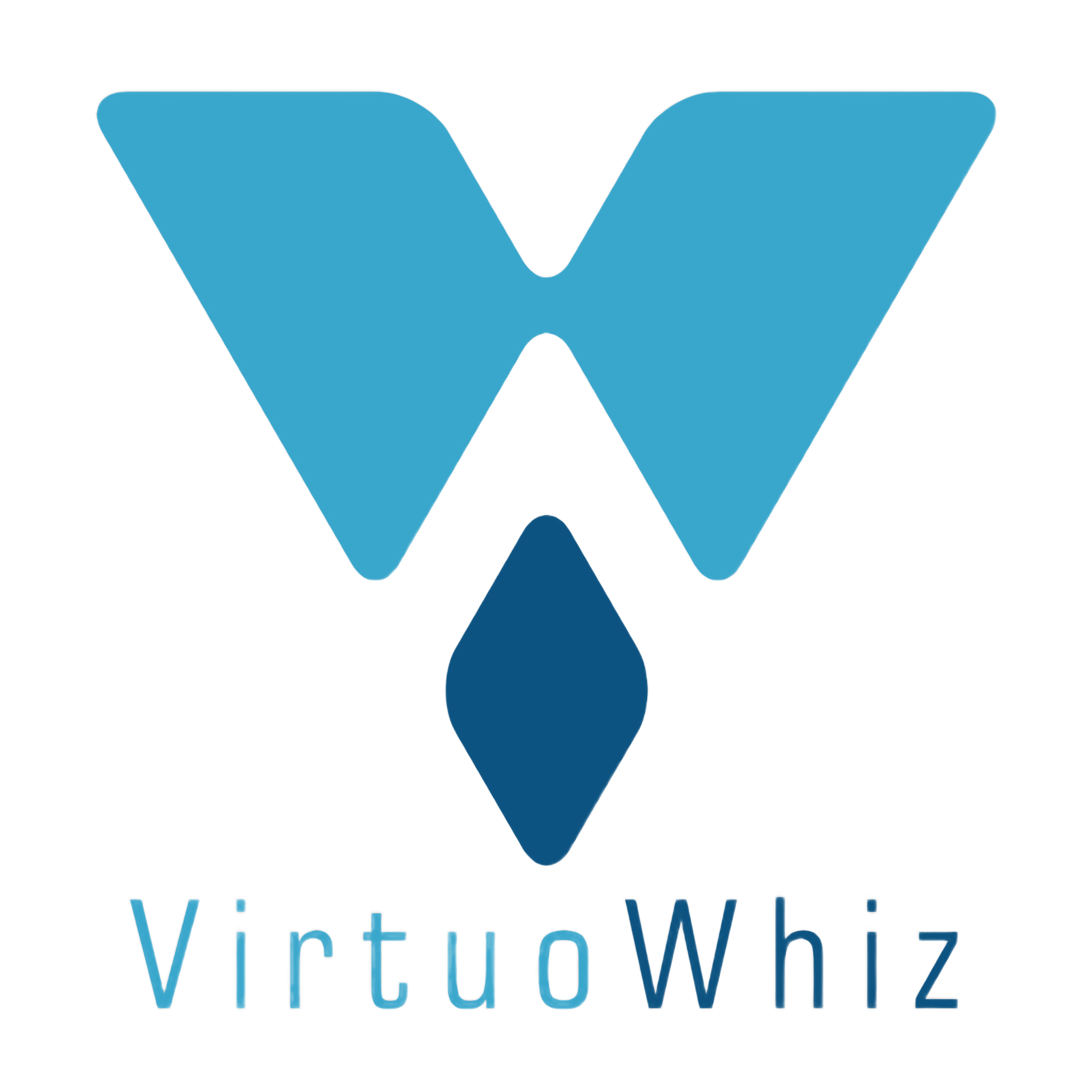 VirtuoWhiz Consulting Private Limited logo