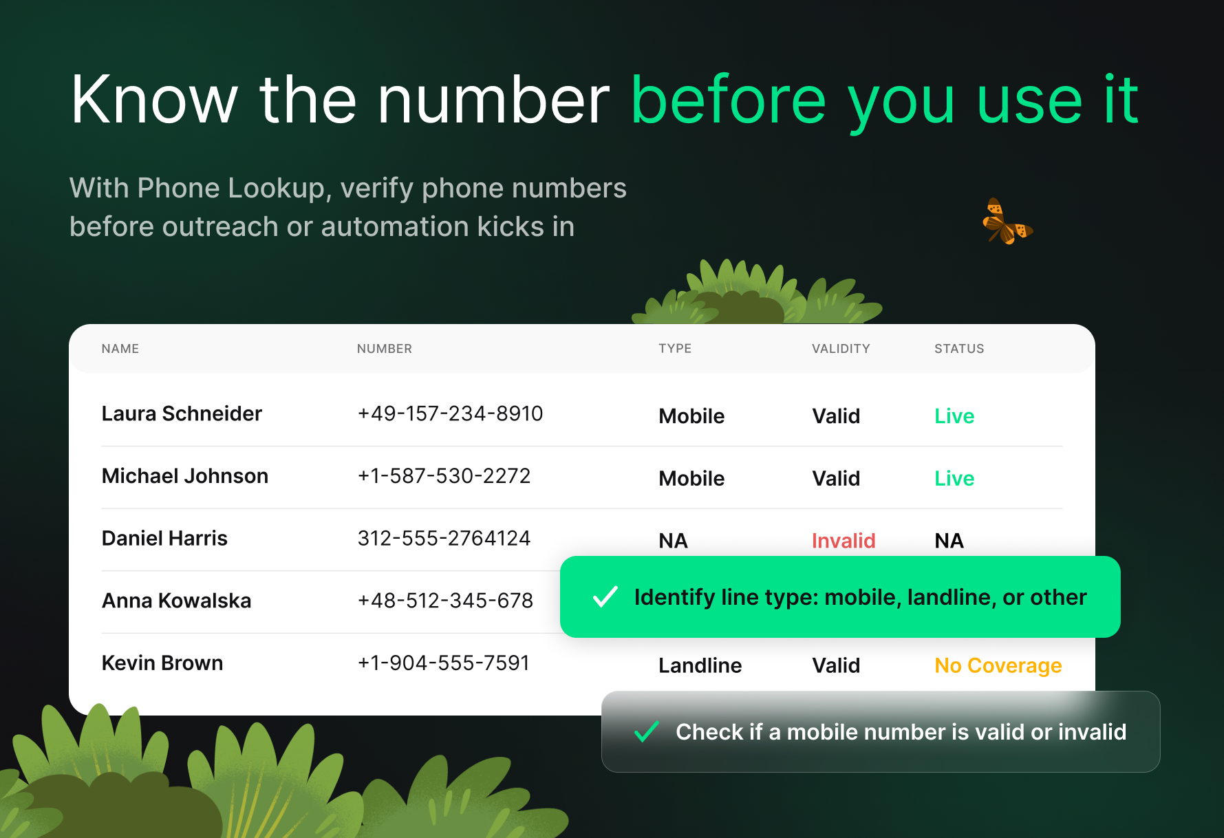 CheckMyNumber | validate and classify phone numbers