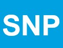 SNP Impact logo