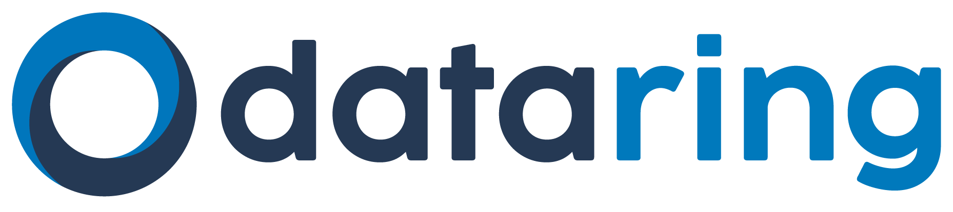 dataring logo