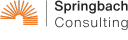 Springbach Consulting, LLC logo