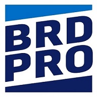 BRDPro Consulting logo