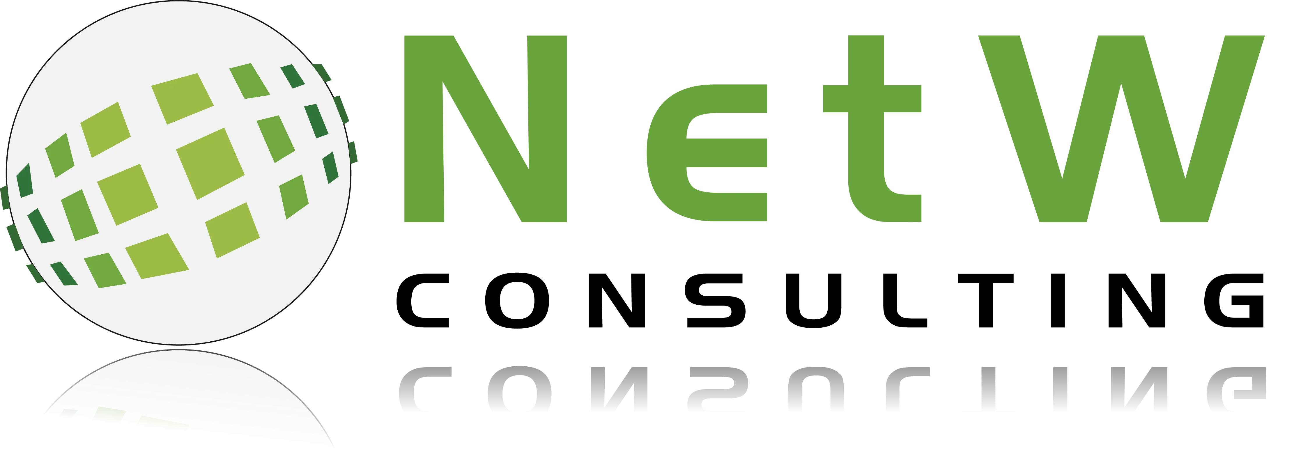 NetW Consulting SAS logo
