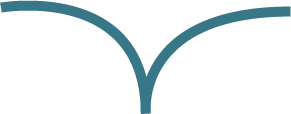Skieward Consulting Limited logo