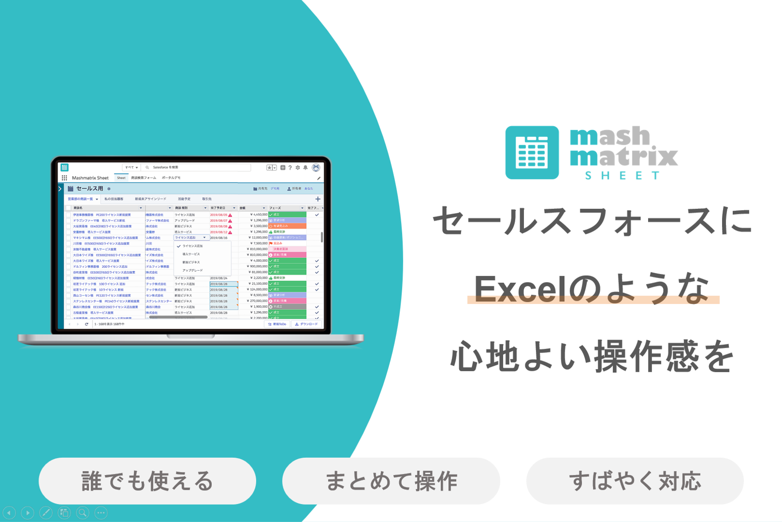 Mashmatrix Sheet - ExcelのようにSalesforceのデータを閲覧・編集