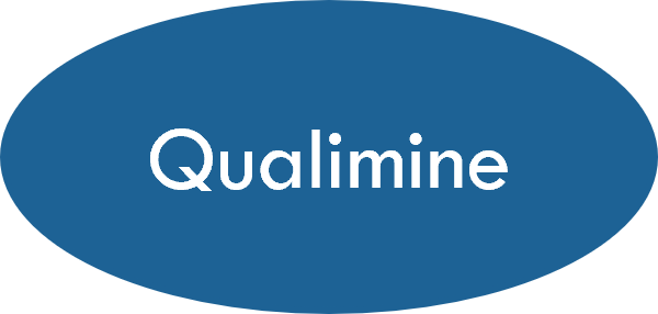 QUALIMINE SOLUTIONS PRIVATE LIMITED logo