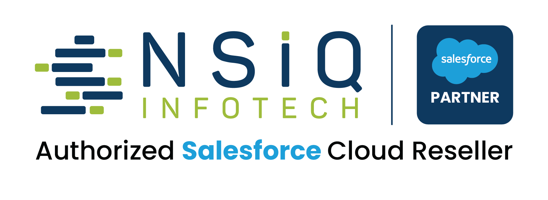 NSIQ INFOTECH PVT LTD logo