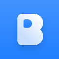 Birdie - Screen Recording — Salesforce app icon