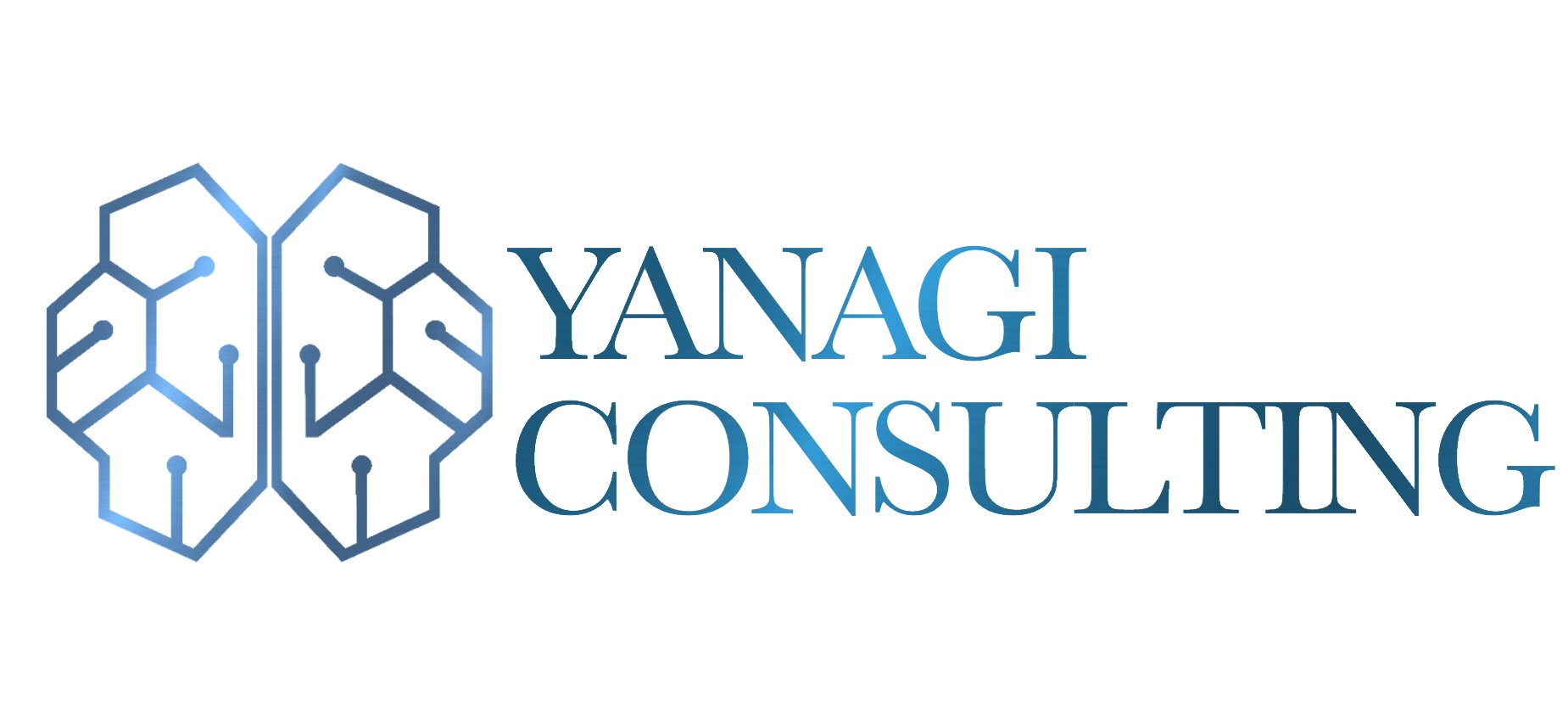 Yanagi Consulting FZCO logo