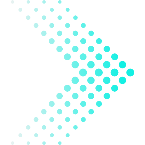 CRM Flow Solutions logo