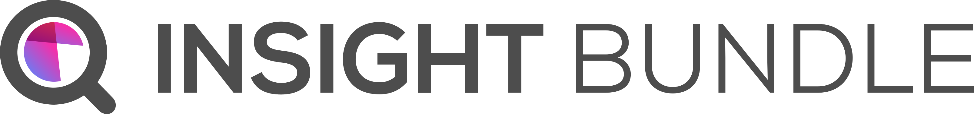 Insight Bundle logo