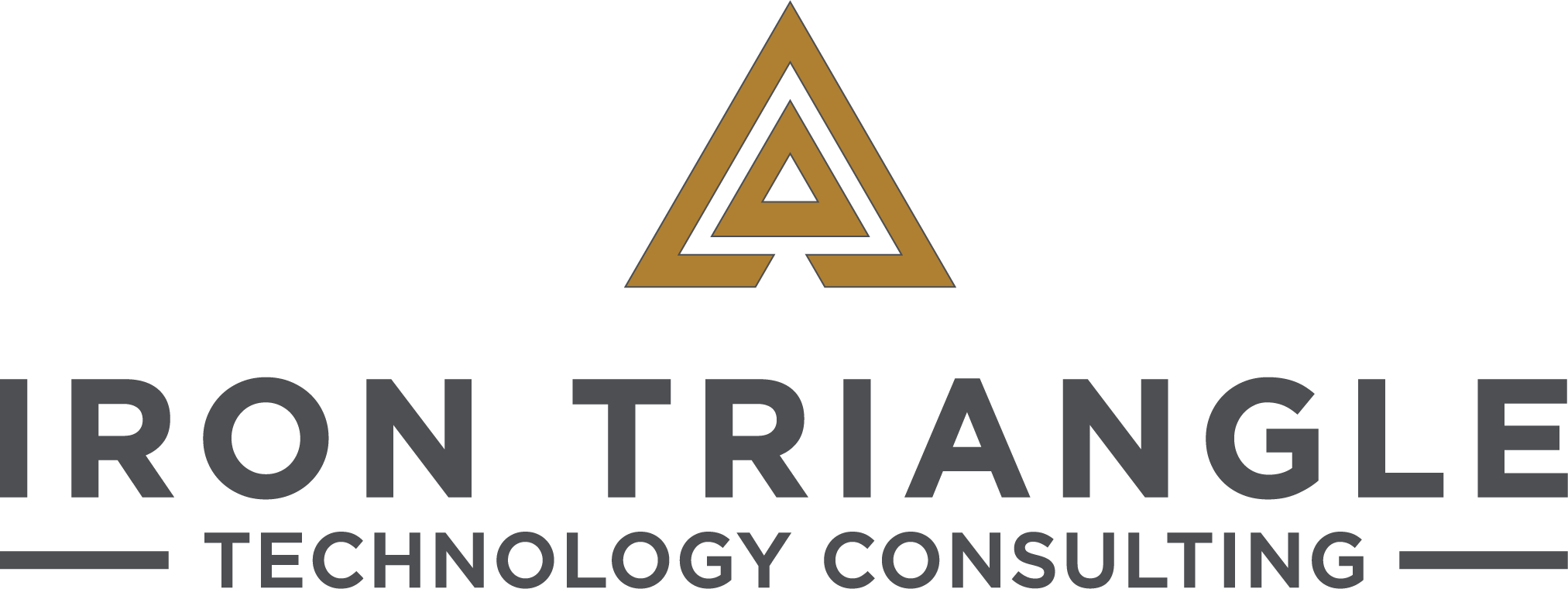 Iron Triangle Technology Consulting, LLC logo