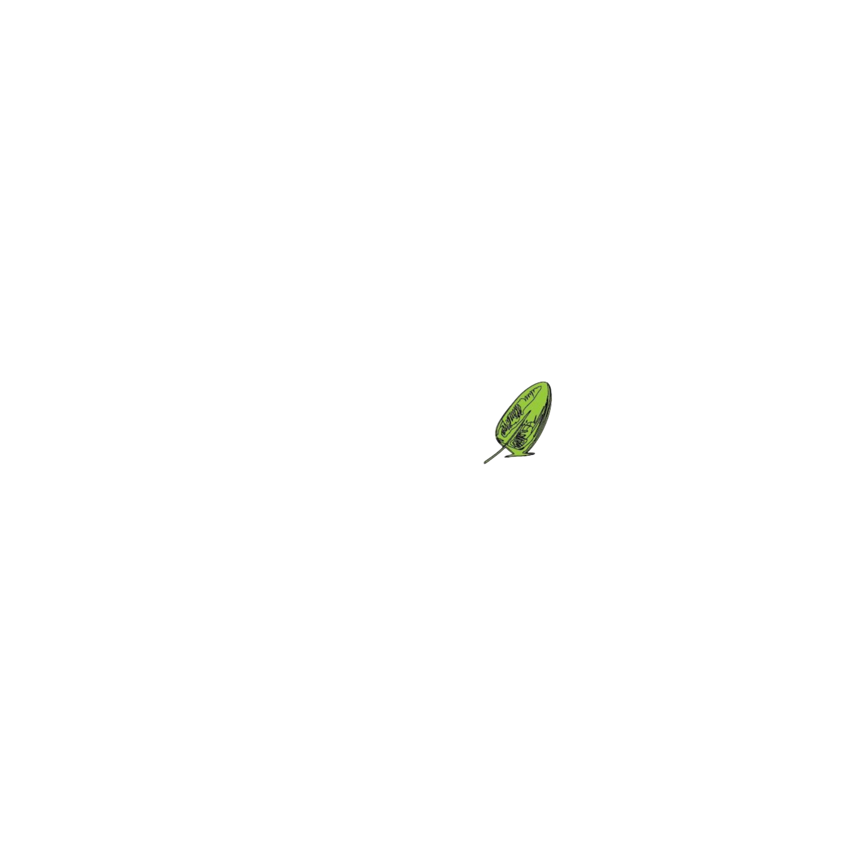 Blacksolvent LLC logo