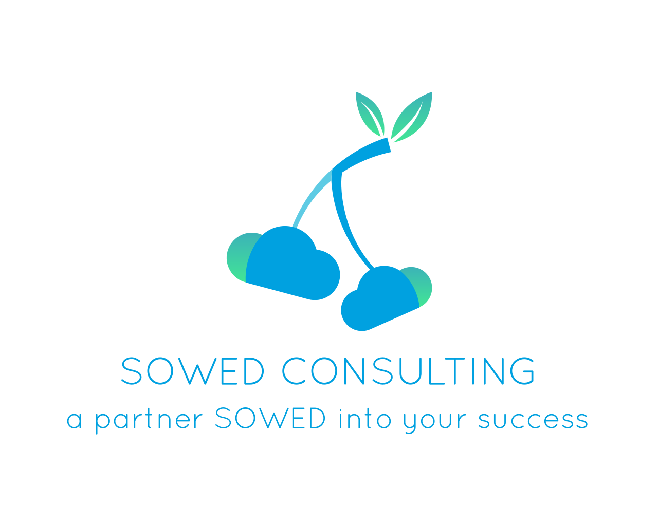 Sowed Consulting LLC logo