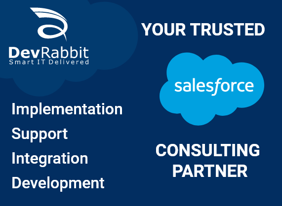 Devrabbit IT Solutions* logo