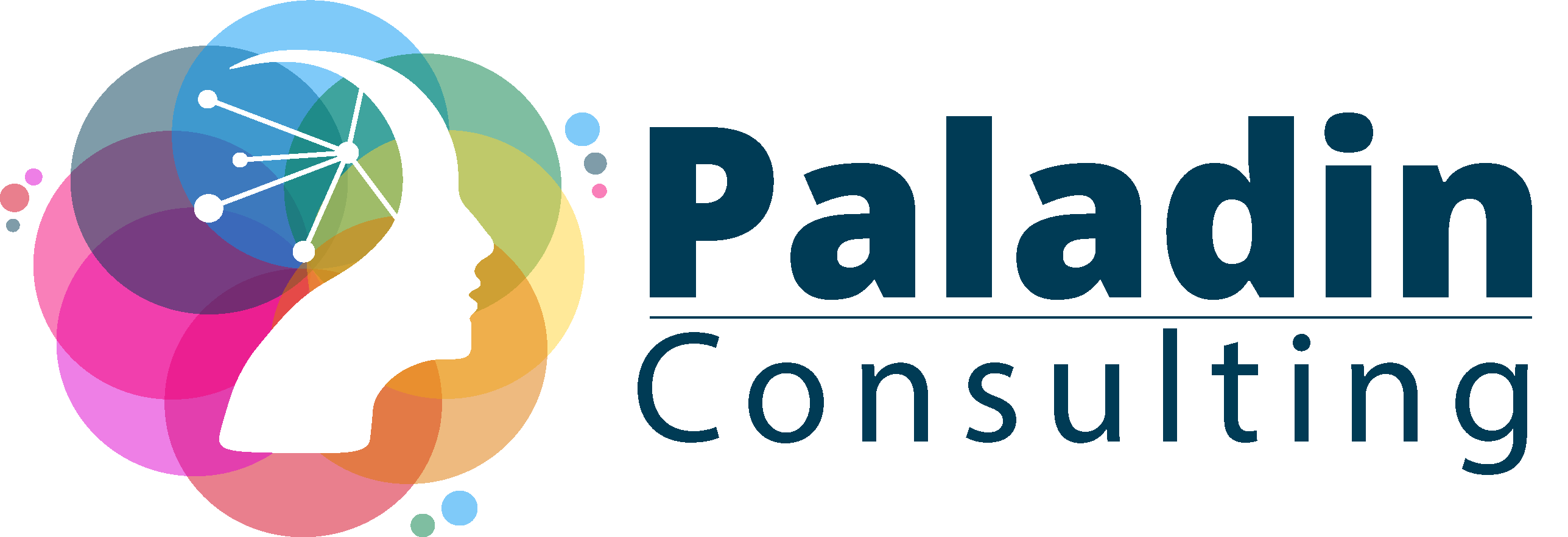 Paladin Consulting logo