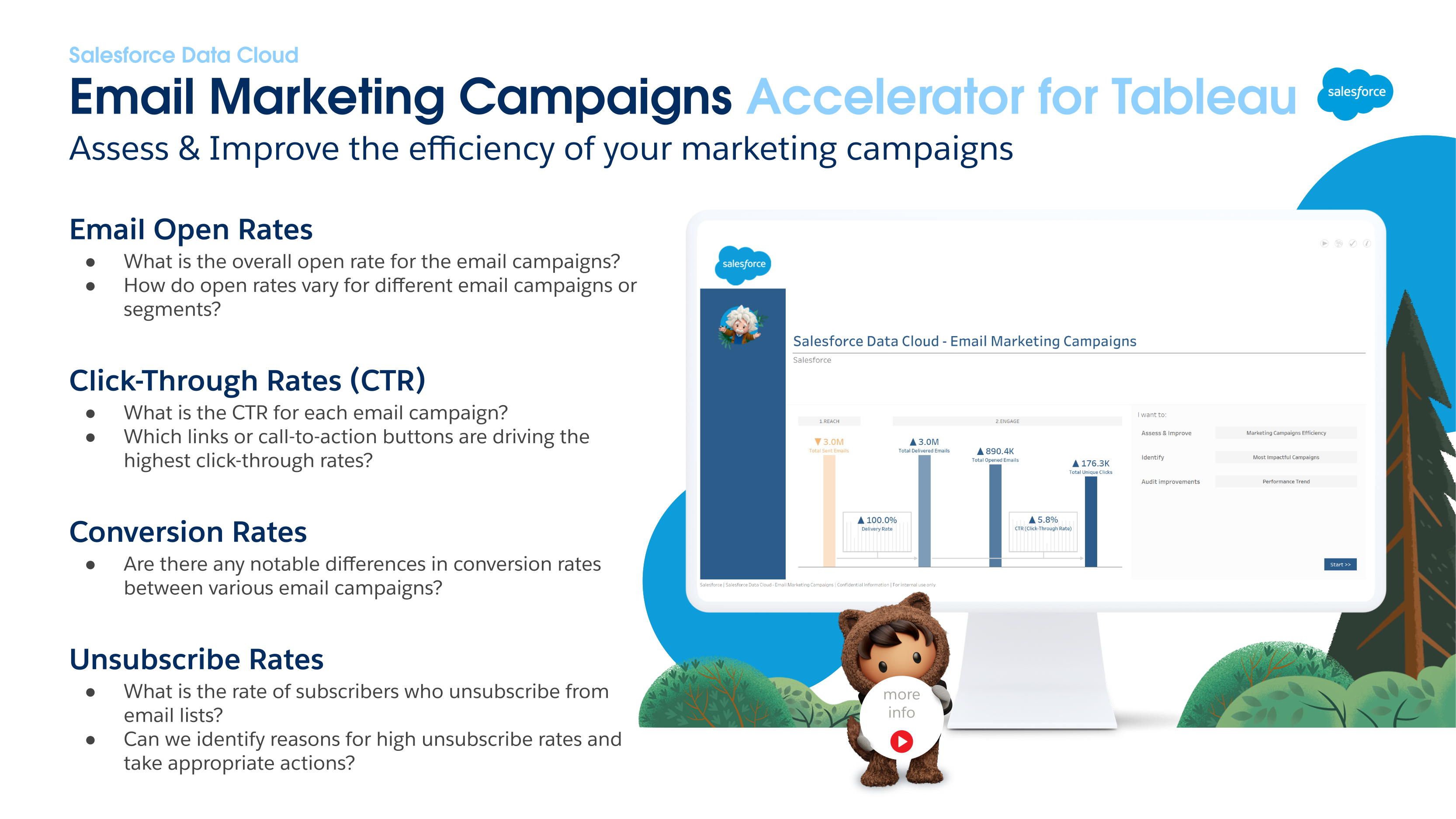 EMAIL MARKETING CAMPAIGNS  Tableau Accelerator for Salesforce
