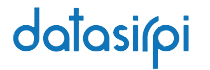 Datasirpi IT Consulting Service Inc. logo