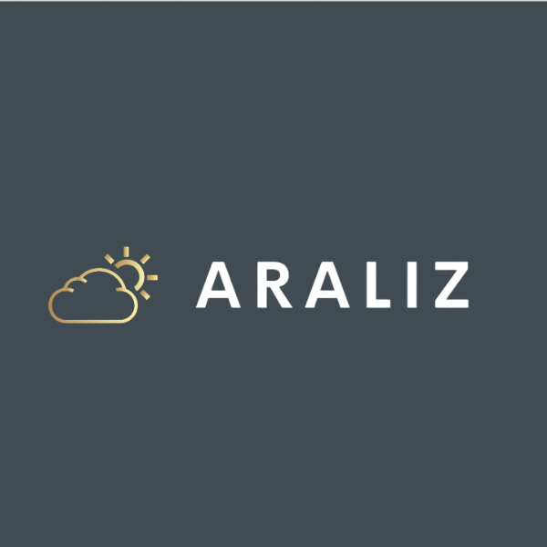 Araliz Consulting logo