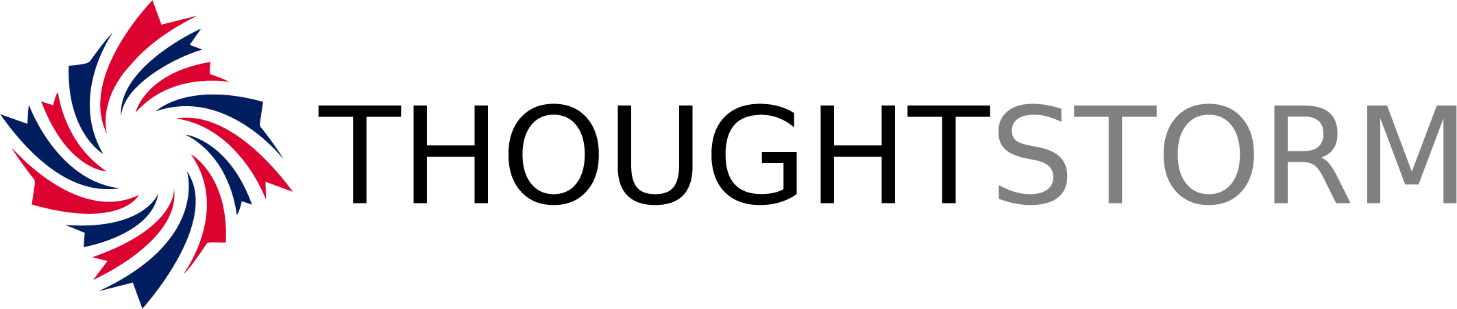ThoughtStorm INC logo