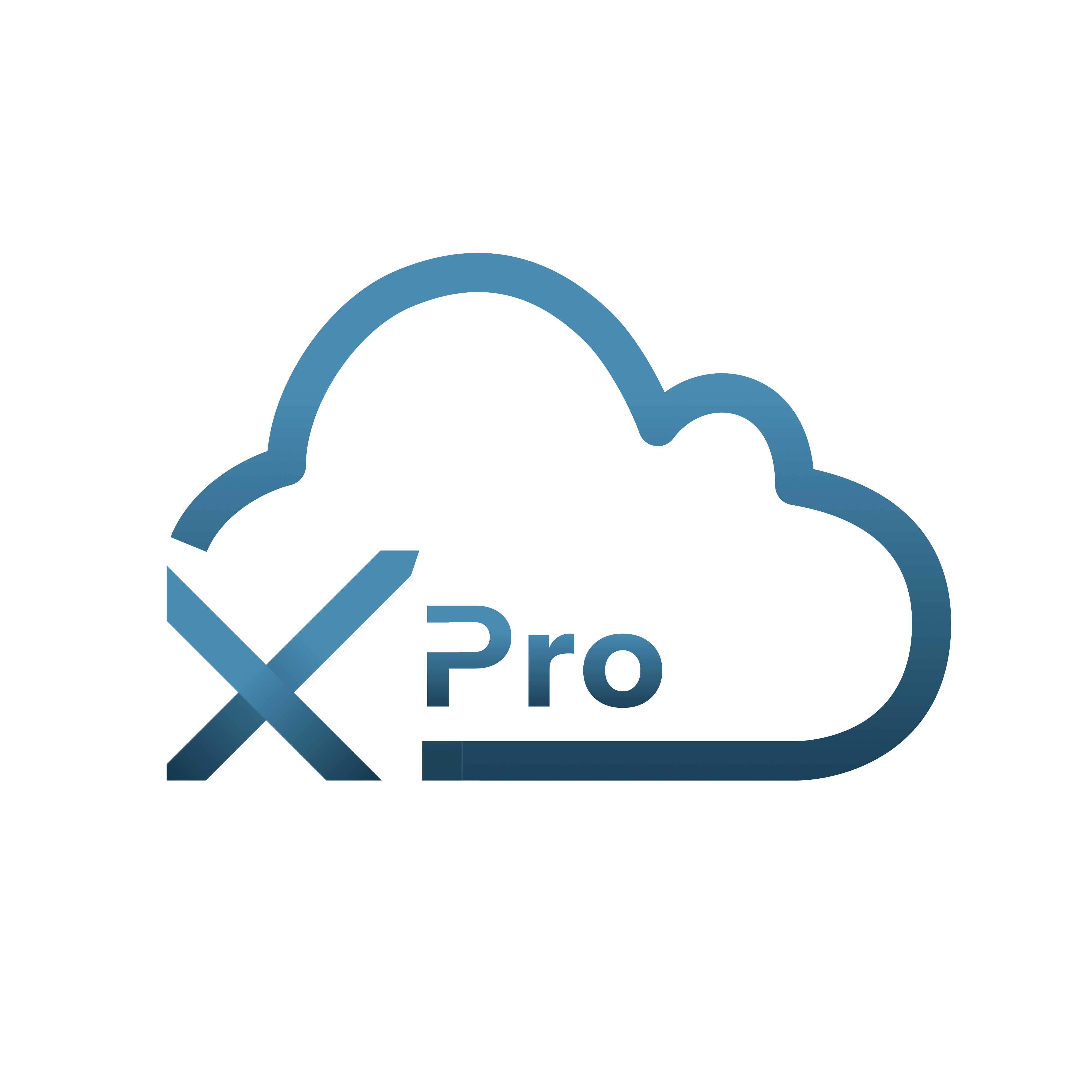 Expro Softech LLP logo