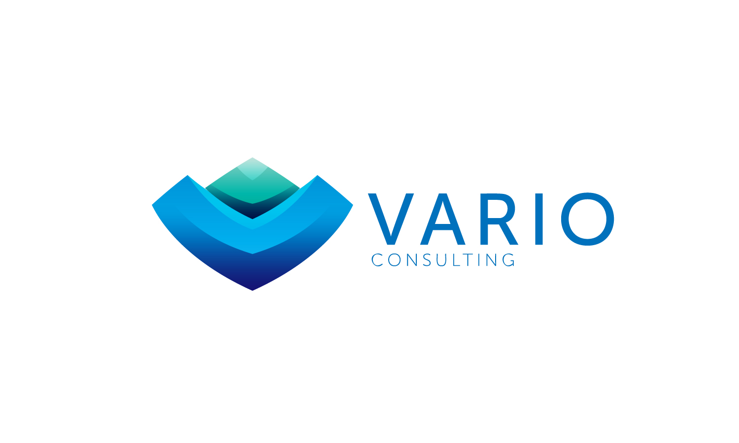 Vario Consulting GmbH logo