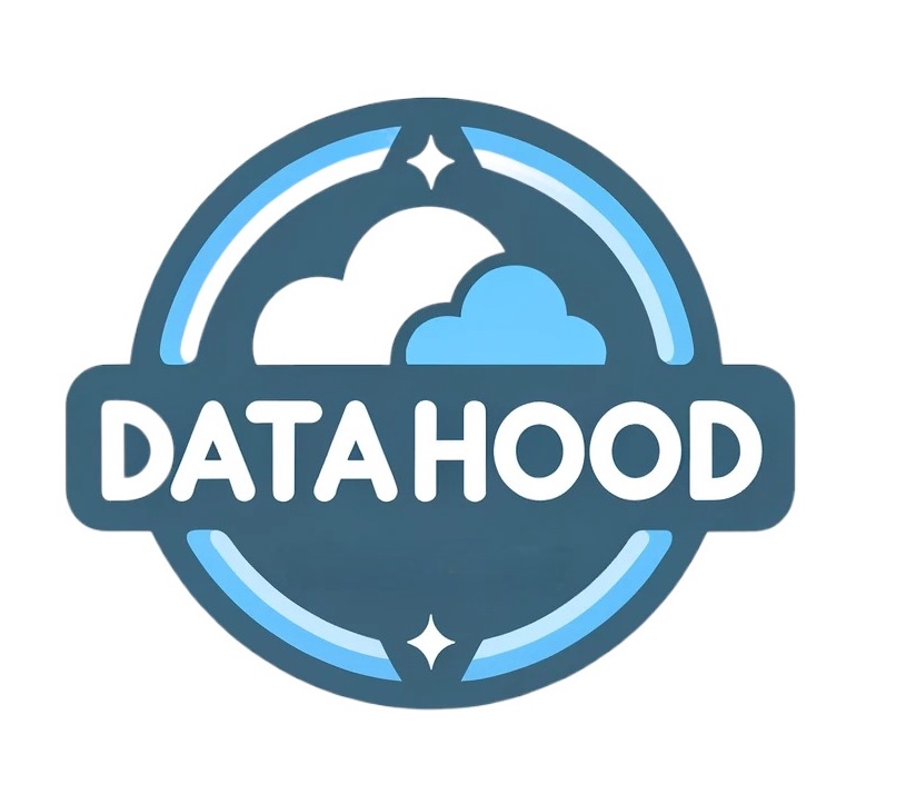 Datahood - Systems and Technologies logo