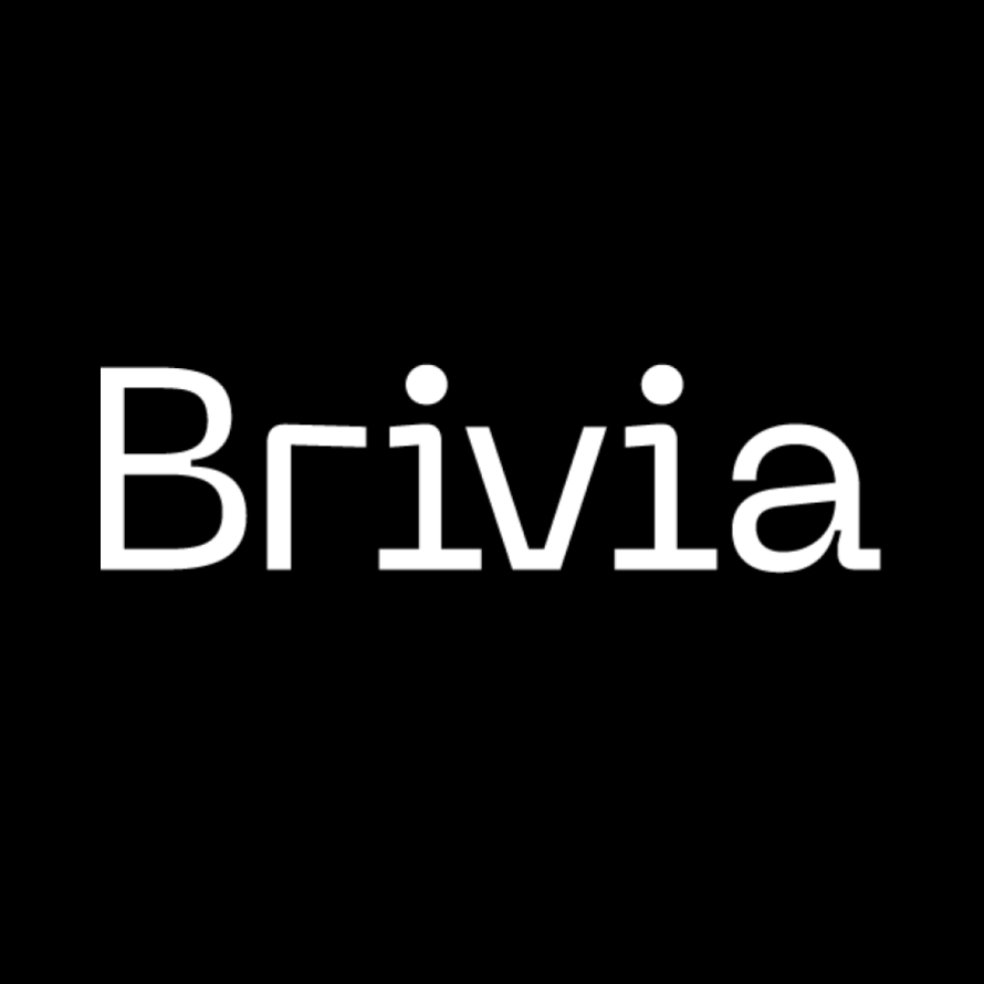 Brivia Group logo