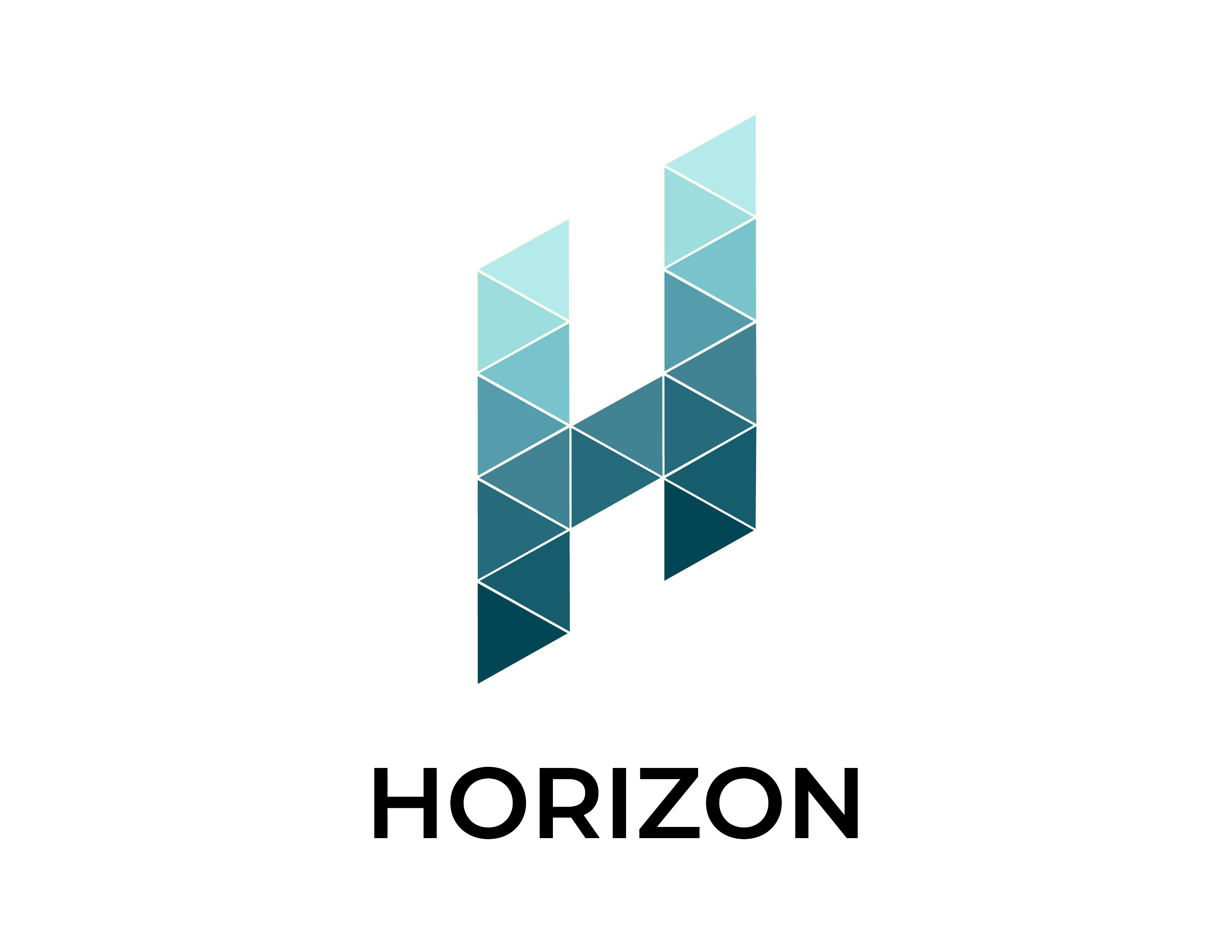 HORIZON CUSTOMER EXPERIENCE S.L. logo