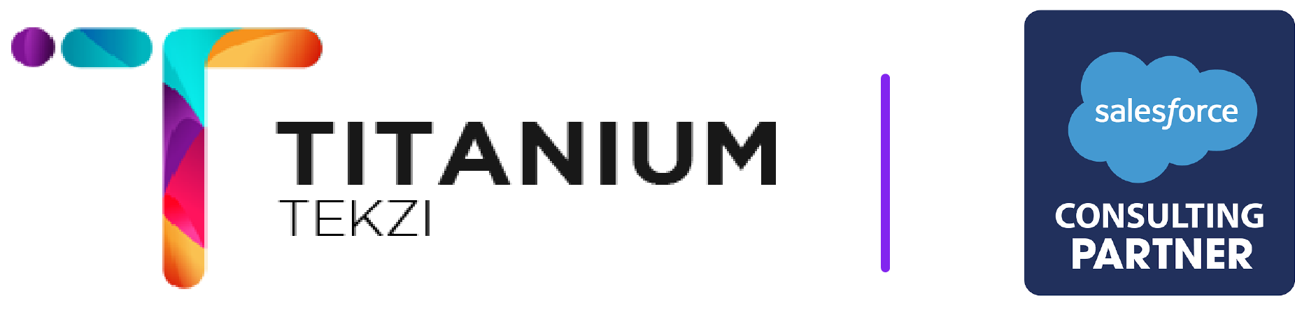 Titanium Tekzi Business Solutions logo