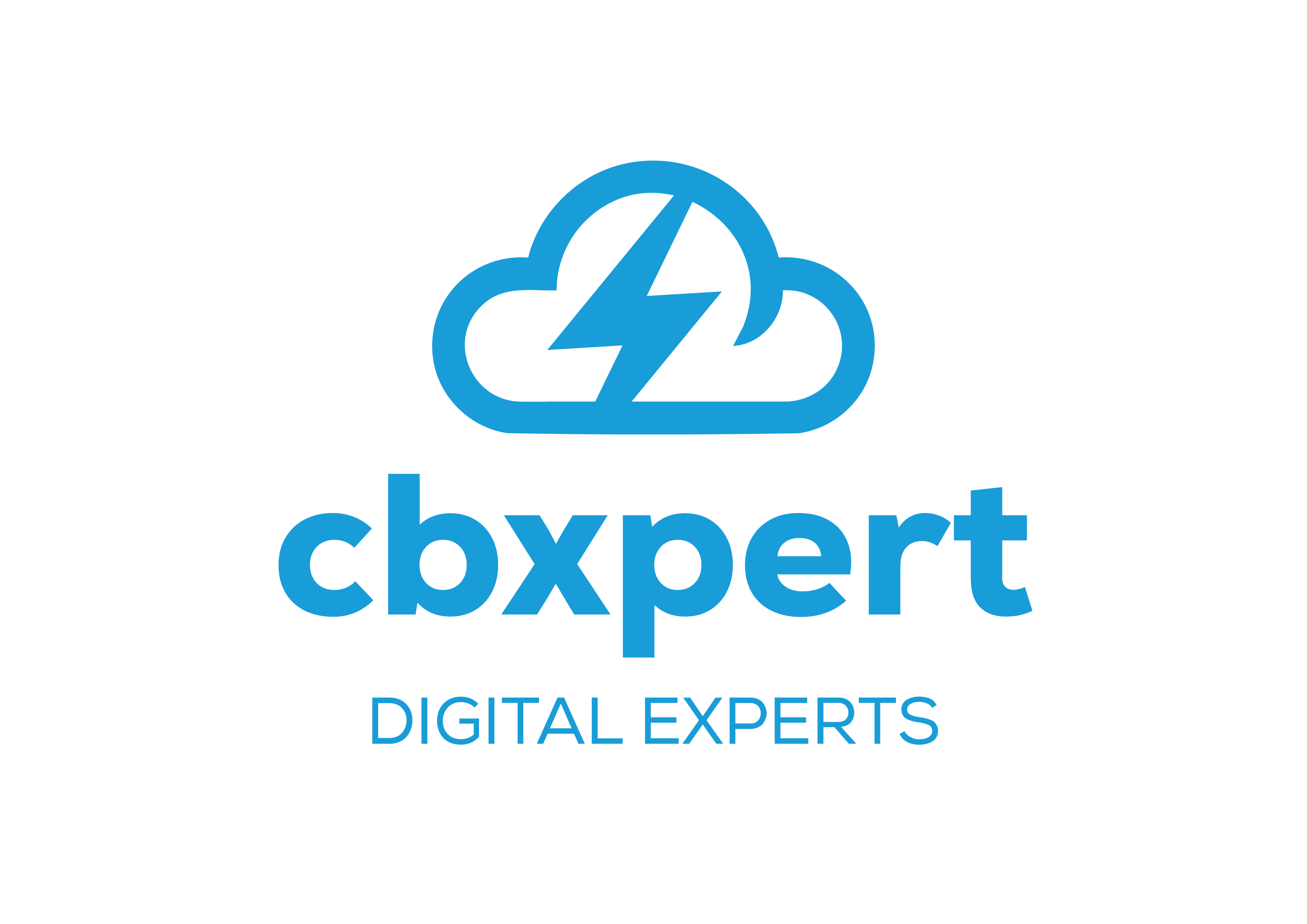 CBXPERT CONSULTORIA EM SISTEMAS DE INFORMACAO LTDA logo