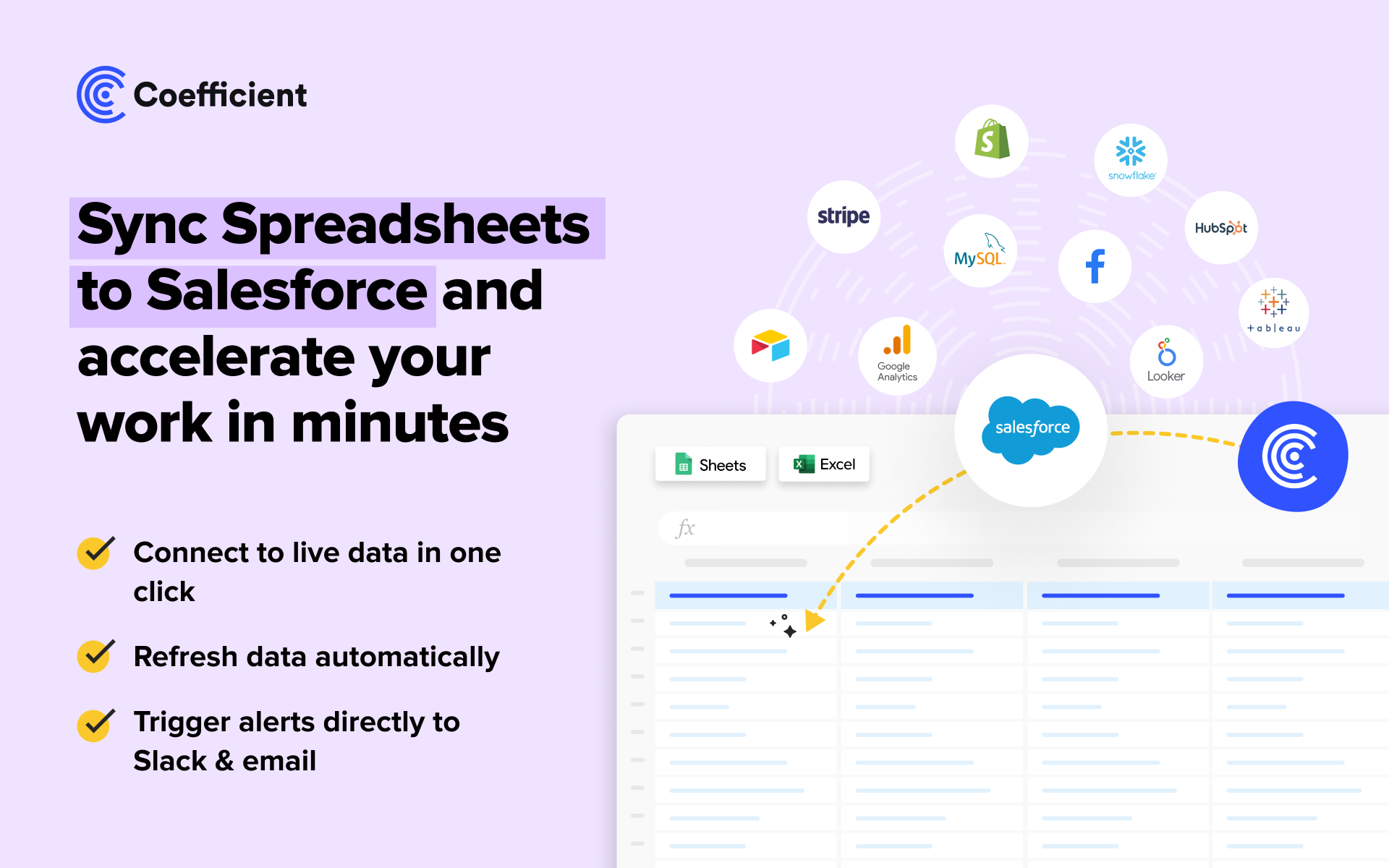 Coefficient | Google Sheet & Excel Salesforce Integration | SalesforceCodex
