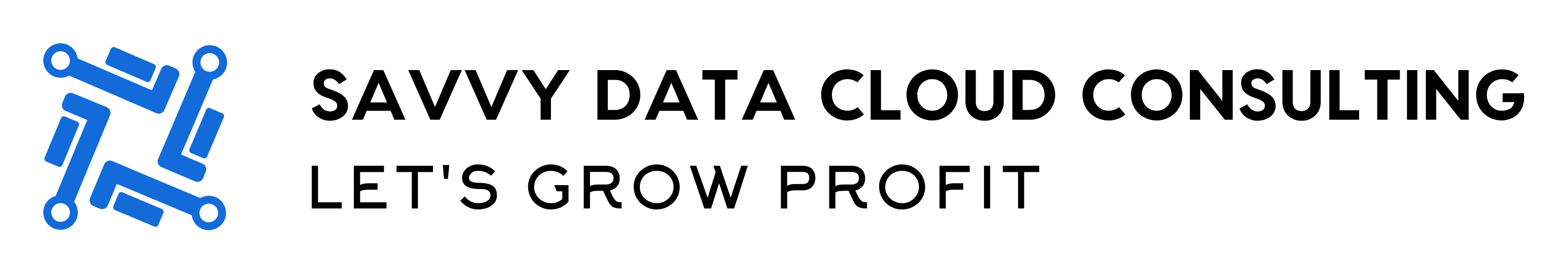 Savvy Data Cloud Consulting logo