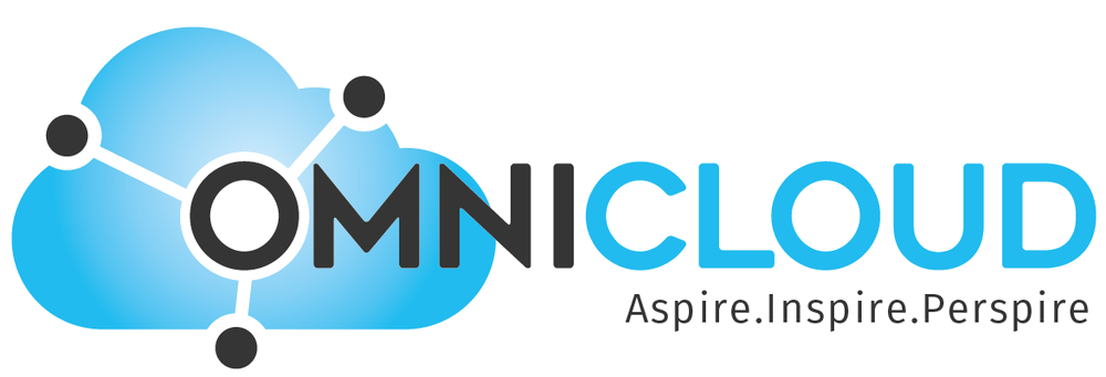 OmniCloud  Consulting Inc logo