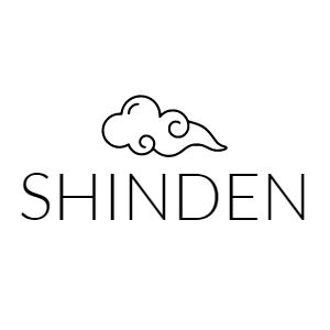 Shinden Consulting logo