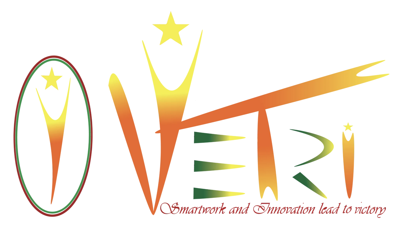 VE-TRI Co., Ltd. logo