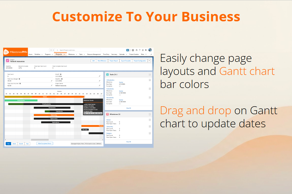 Customizable Project Management page layouts and Gantt chart bar colors